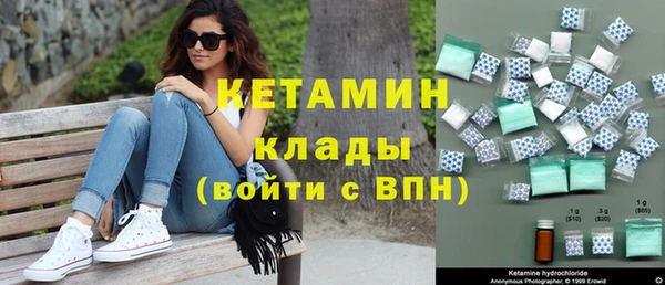 стаф Новозыбков