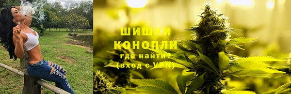 круглые Аркадак