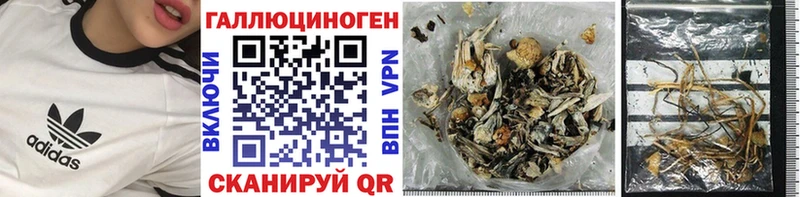 mega   Ладушкин  Галлюциногенные грибы мицелий 